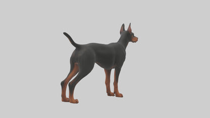 Doberman Pinscher alert model 3D model