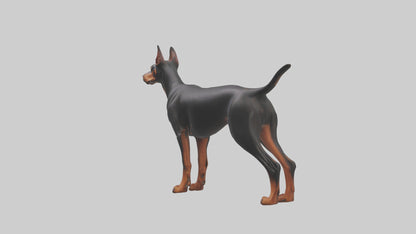 Doberman Pinscher alert model 3D model