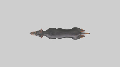 Doberman Pinscher alert model 3D model