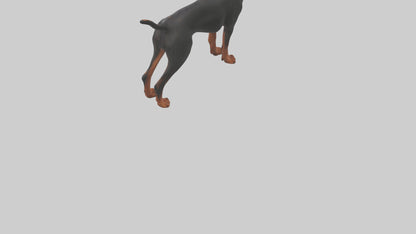 Doberman Pinscher alert model 3D model