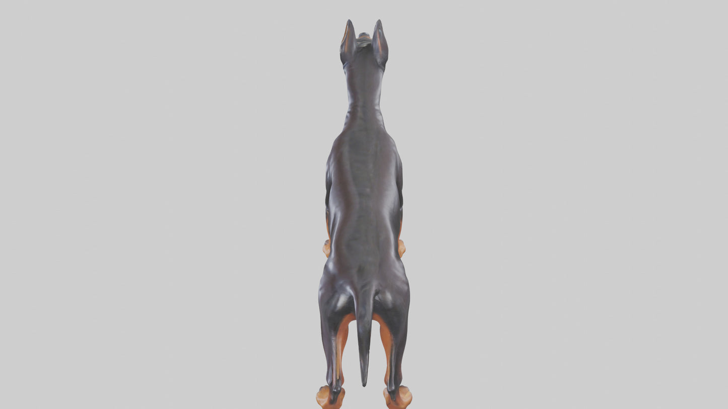 Doberman Pinscher statue model 3D model