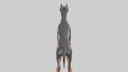 Doberman Pinscher statue model 3D model
