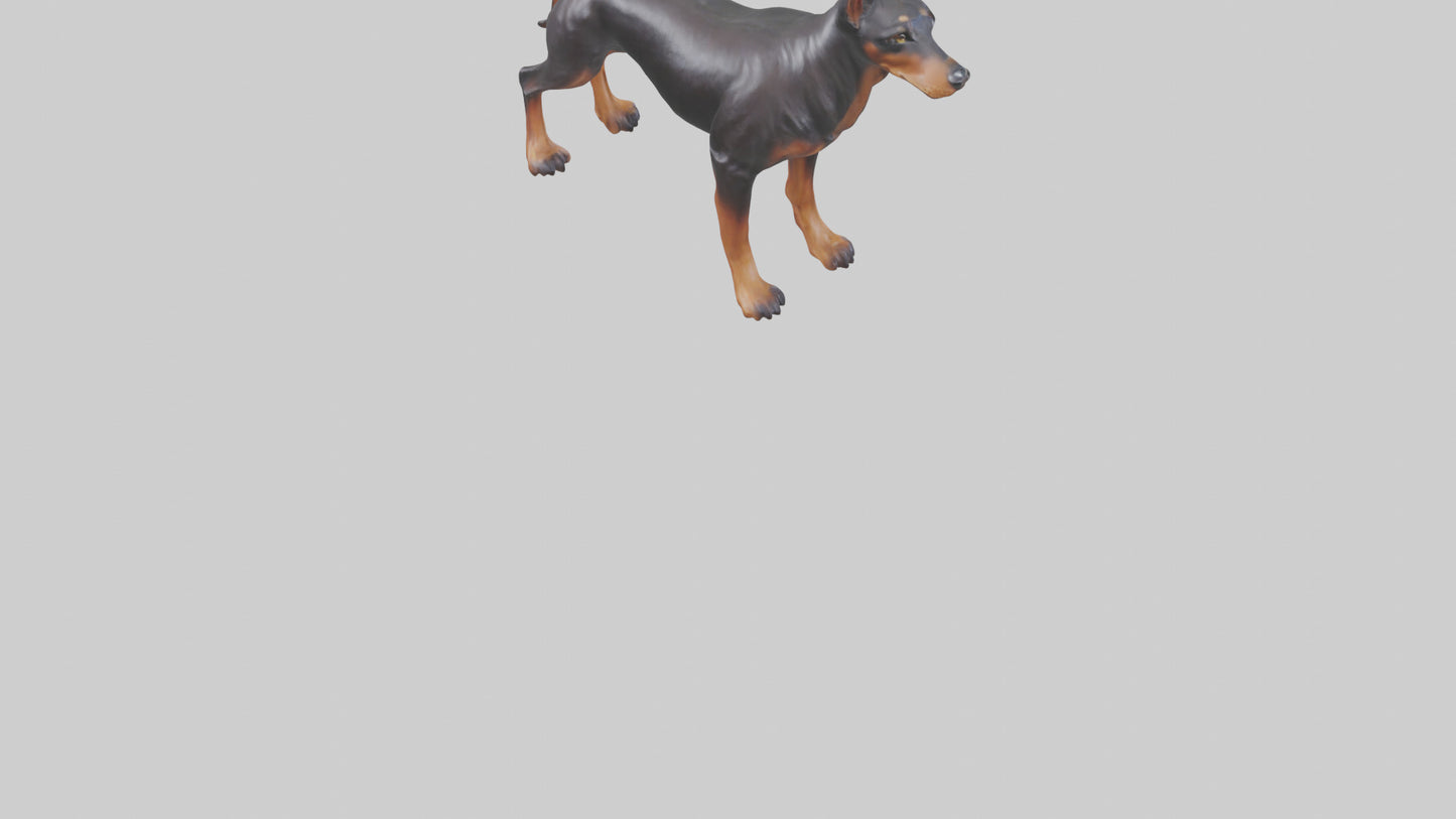 Doberman Pinscher statue model 3D model