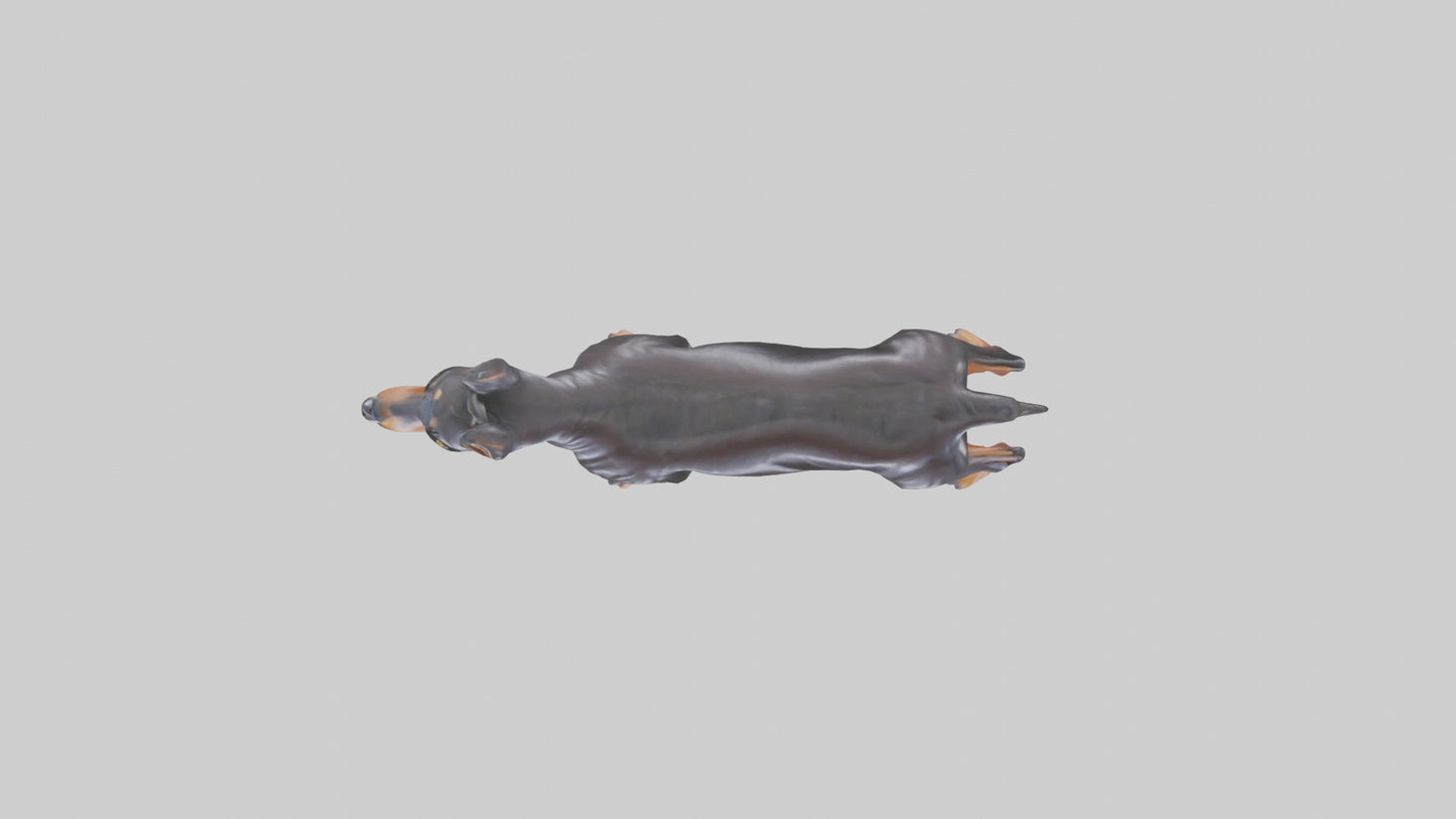 Doberman Pinscher statue model 3D model