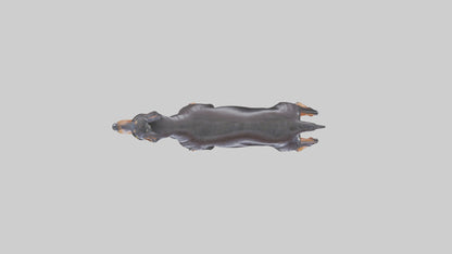 Doberman Pinscher statue model 3D model