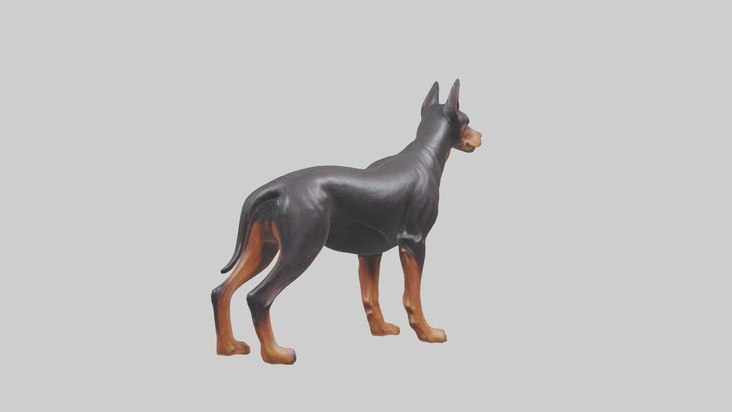 Doberman Pinscher statue model 3D model