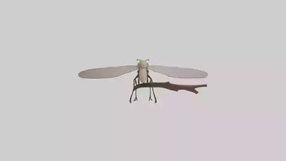 Dobsonfly clinging model 3D model