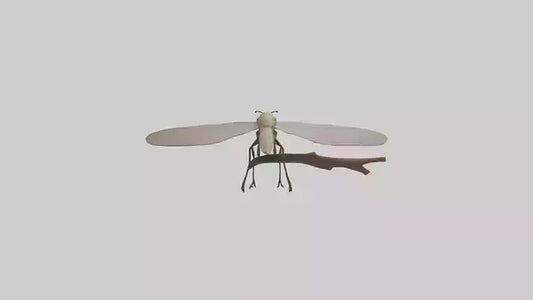 Dobsonfly clinging model 3D model