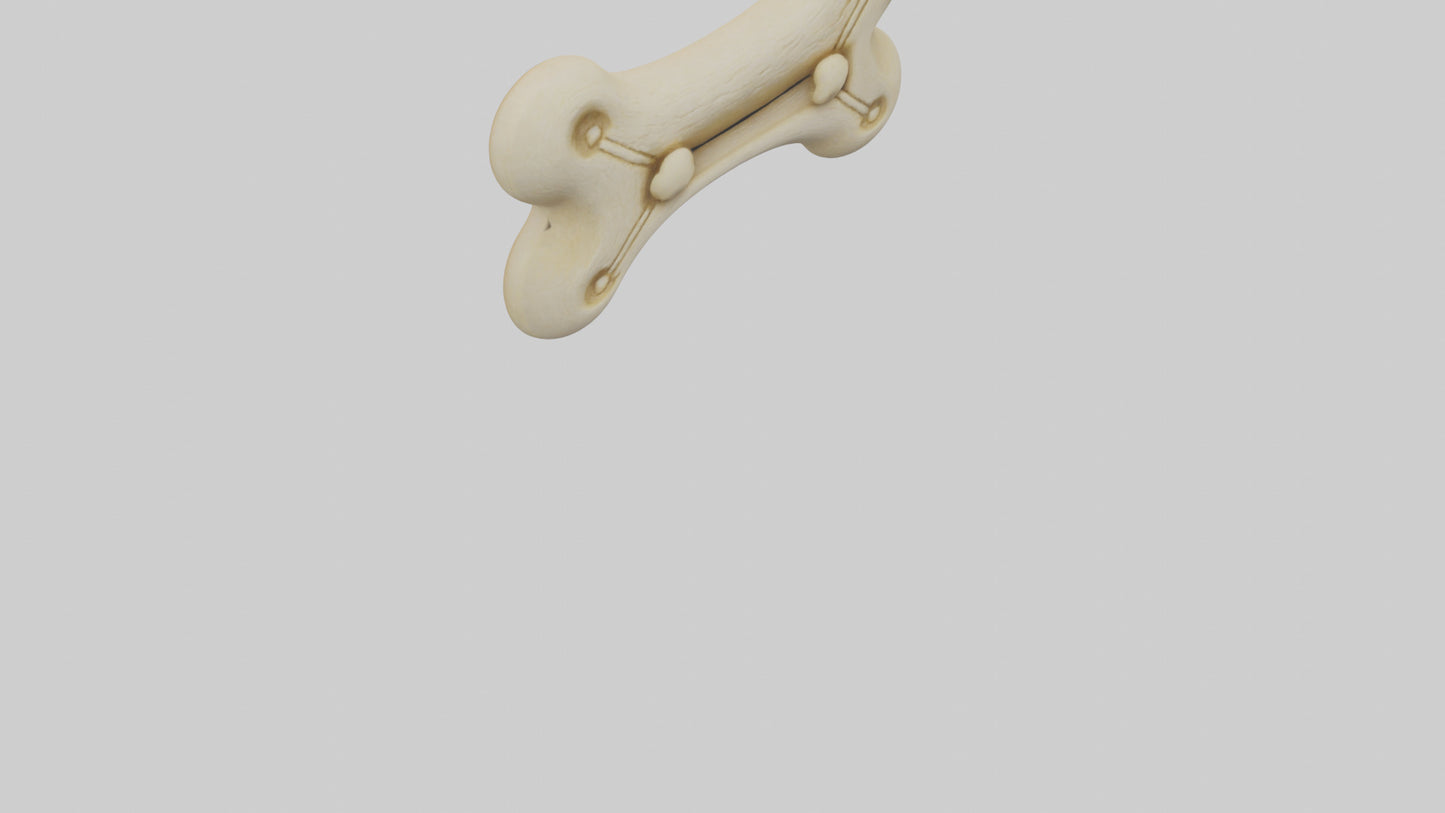 Dog bone keychain model 3D model