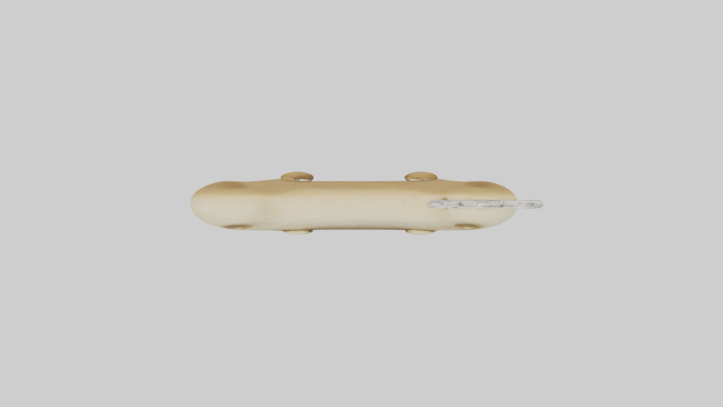 Dog bone keychain model 3D model