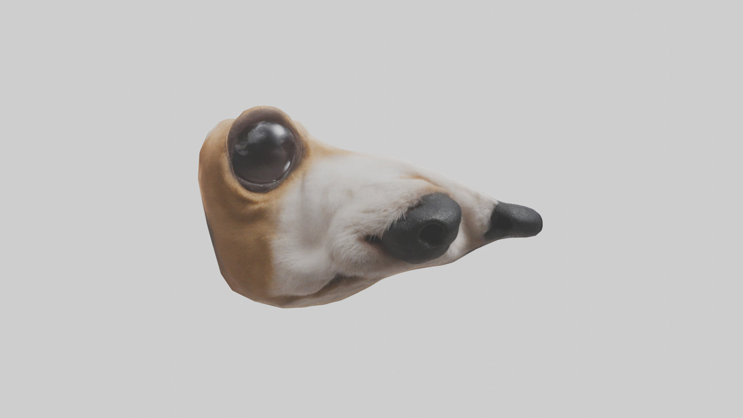 3D model Dog Nose VR / AR / low-poly