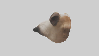 3D model Dog Nose VR / AR / low-poly