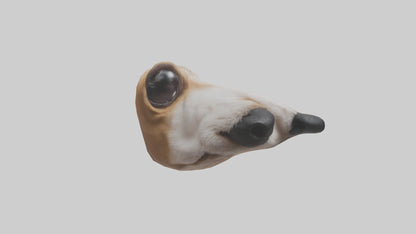 3D model Dog Nose VR / AR / low-poly