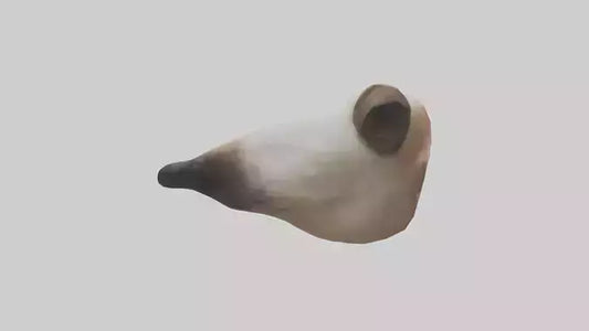 3D model Dog Nose VR / AR / low-poly