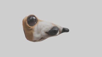 3D model Dog Nose VR / AR / low-poly