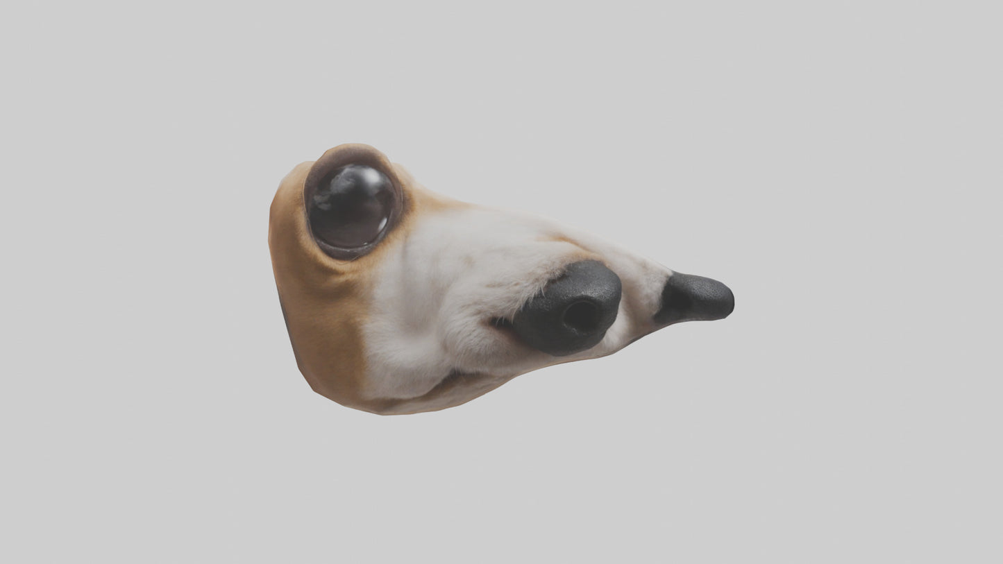 3D model Dog Nose VR / AR / low-poly