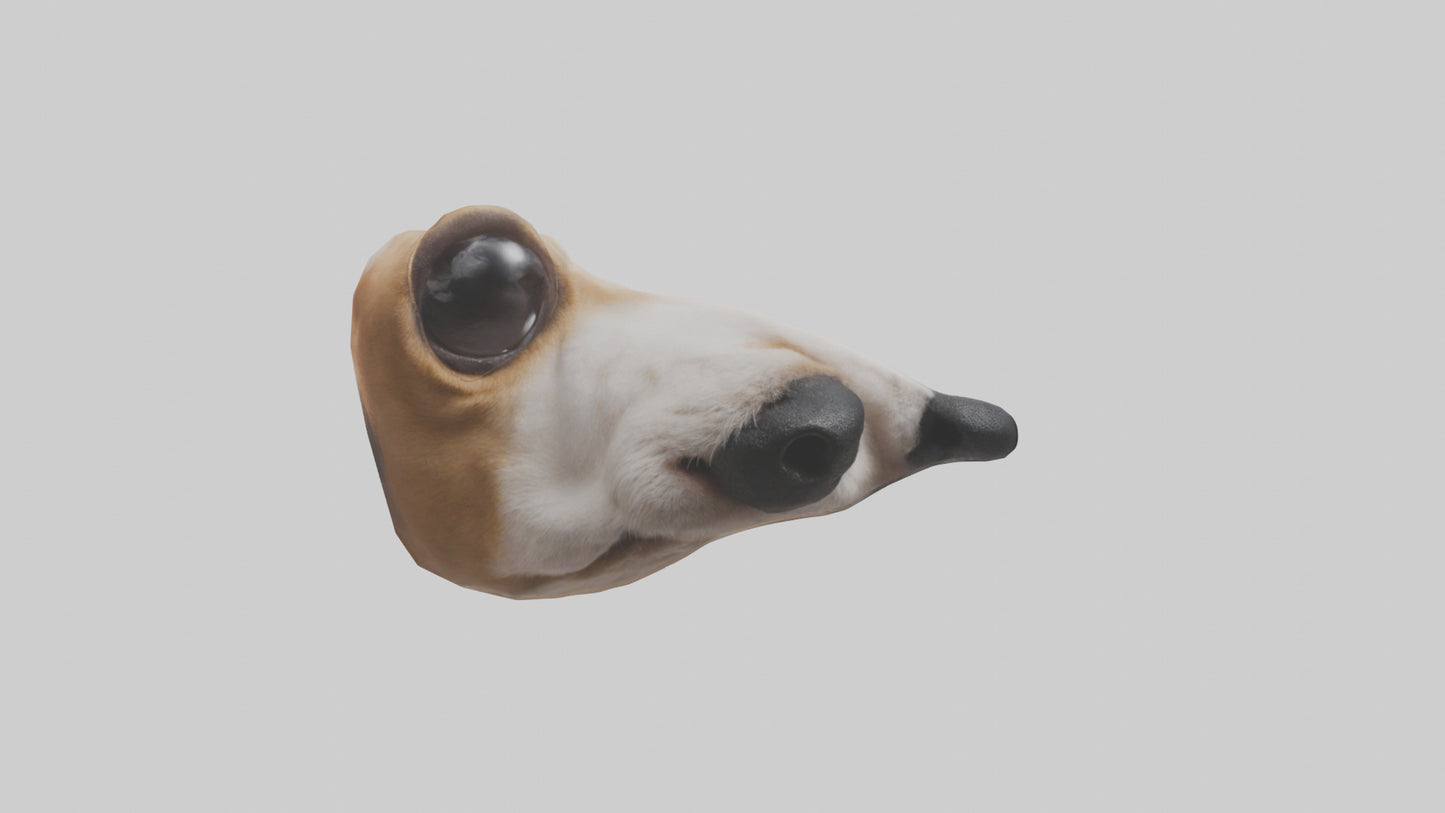 3D model Dog Nose VR / AR / low-poly