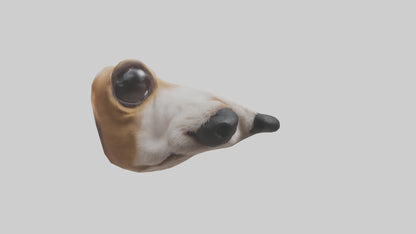 3D model Dog Nose VR / AR / low-poly