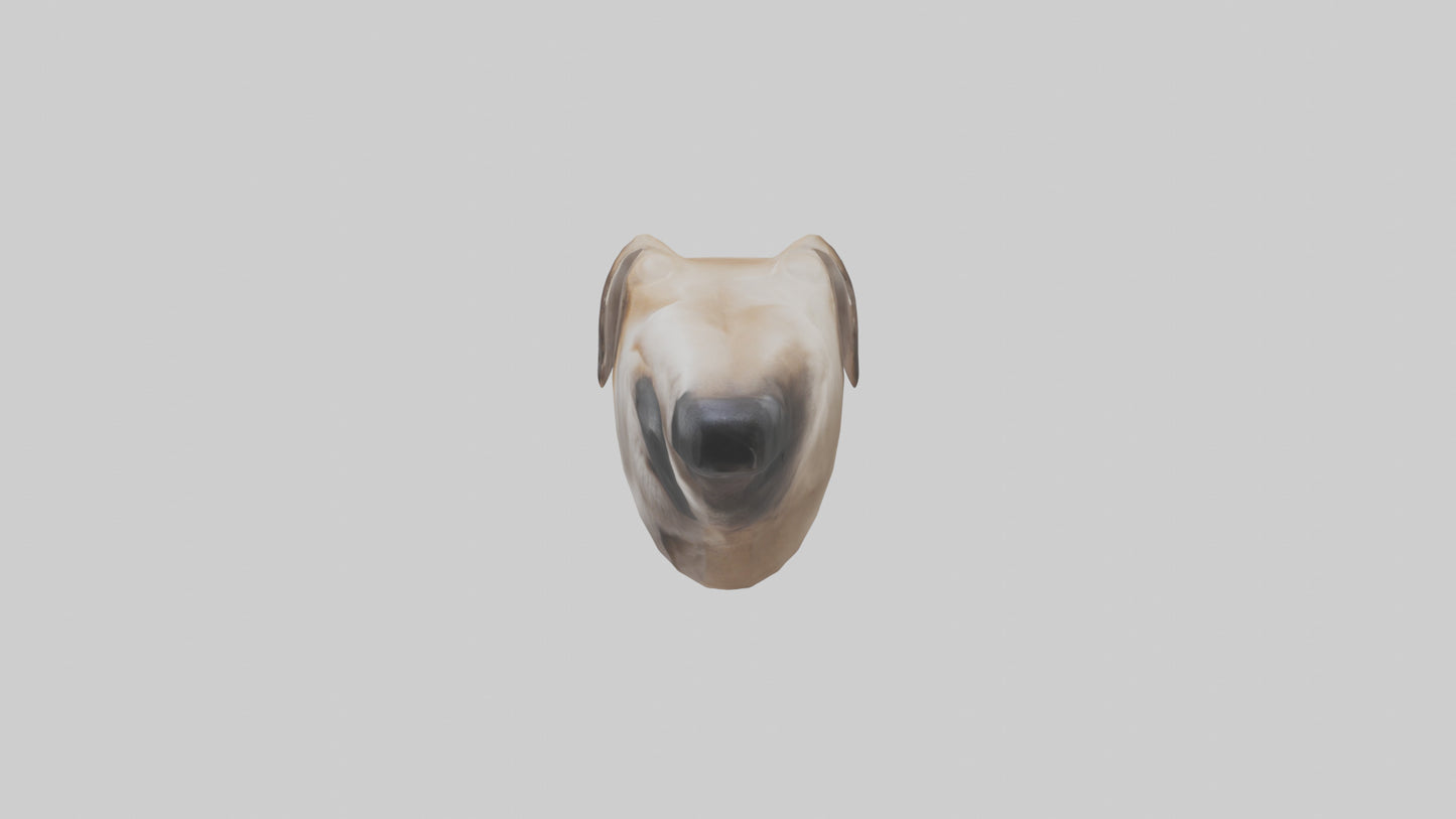 3D model Dog Nose VR / AR / low-poly