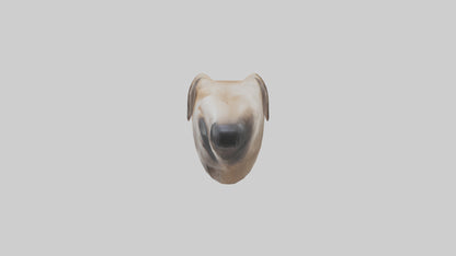 3D model Dog Nose VR / AR / low-poly