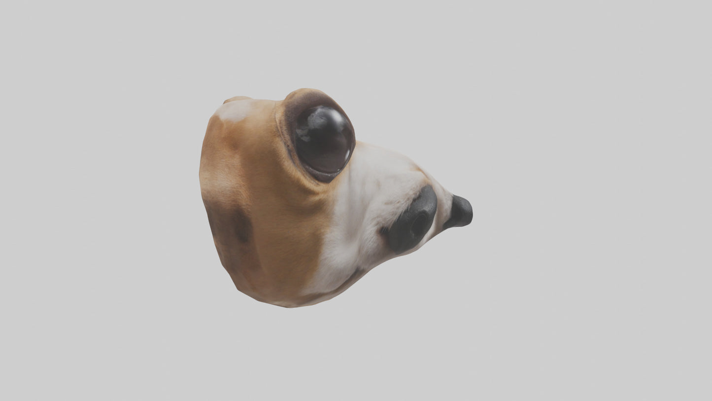 3D model Dog Nose VR / AR / low-poly