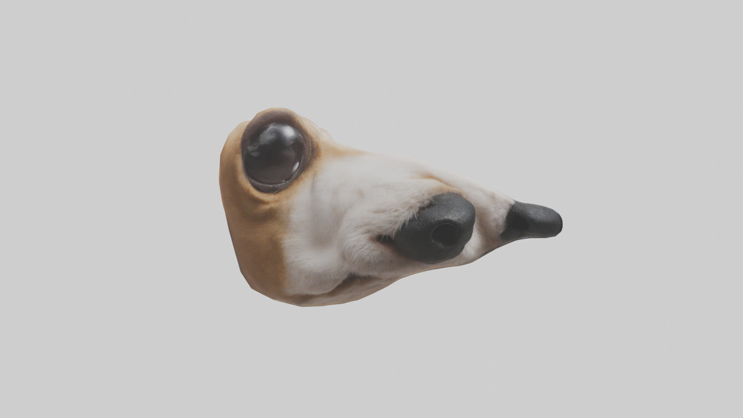 3D model Dog Nose VR / AR / low-poly