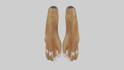 3D model Dog Paws VR / AR / low-poly