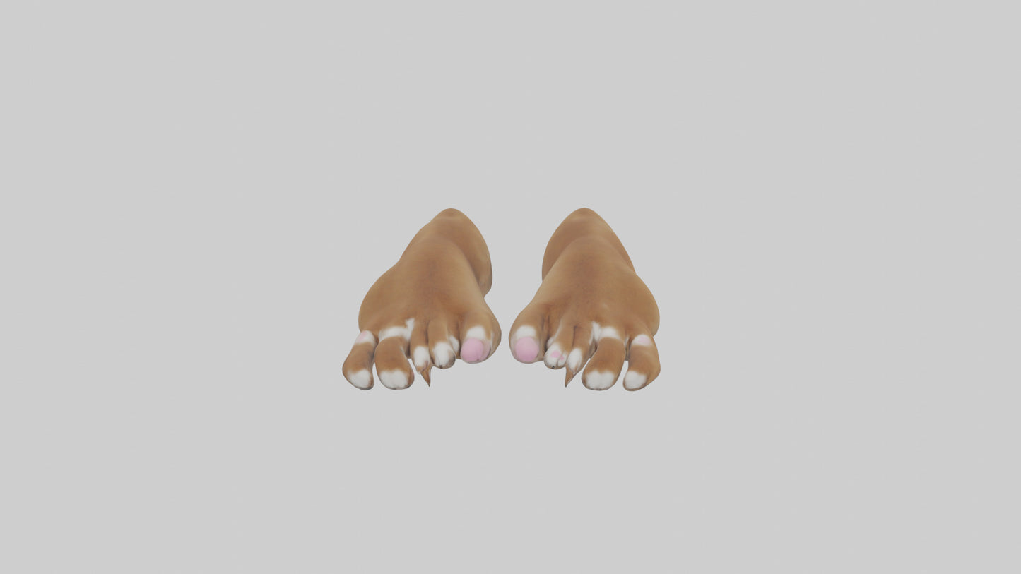 3D model Dog Paws VR / AR / low-poly
