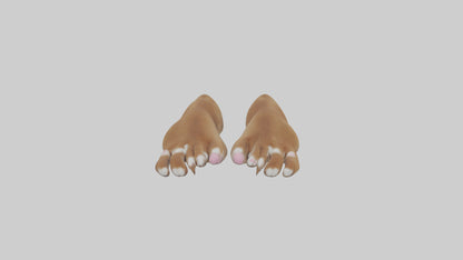 3D model Dog Paws VR / AR / low-poly