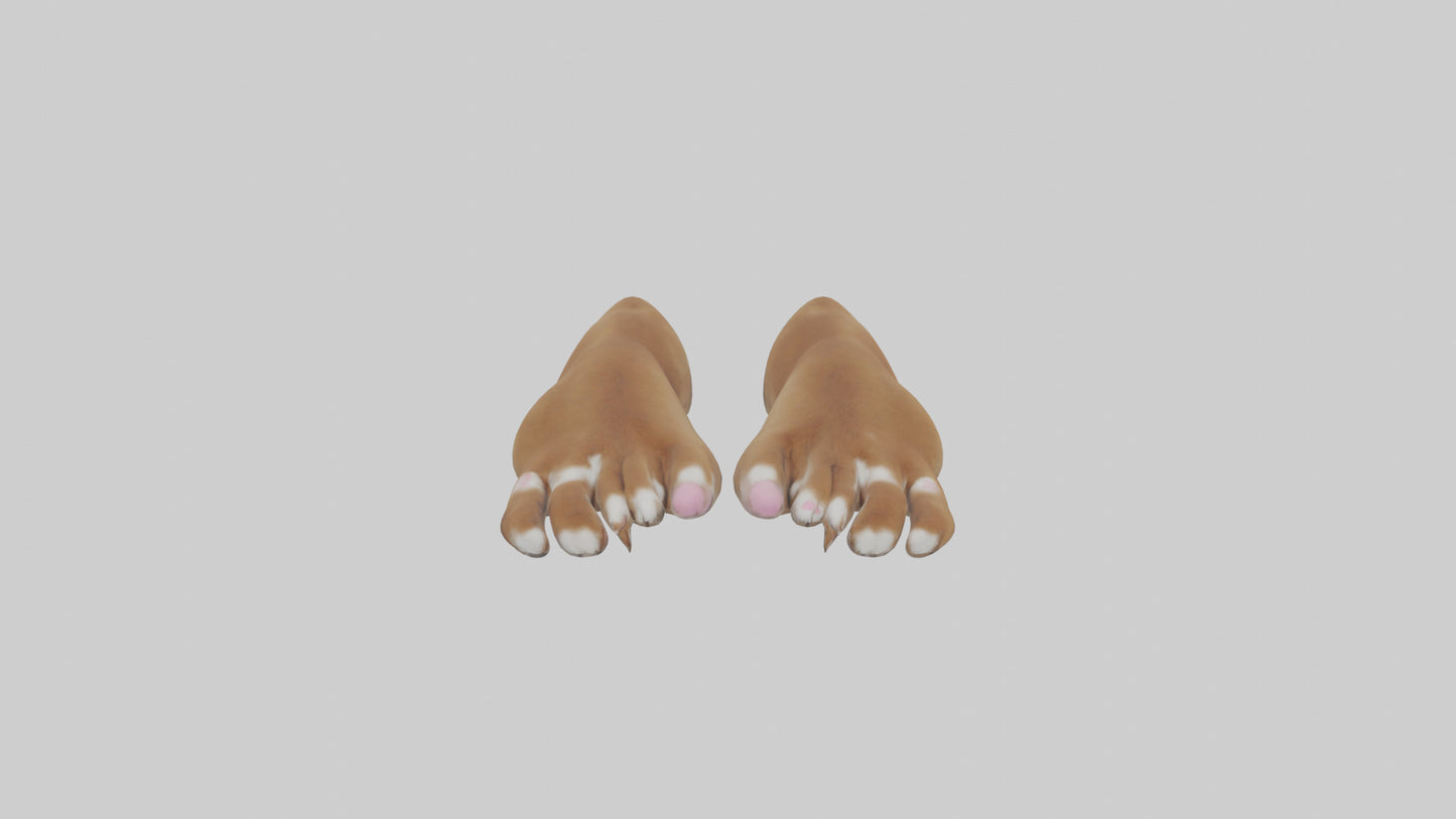 3D model Dog Paws VR / AR / low-poly