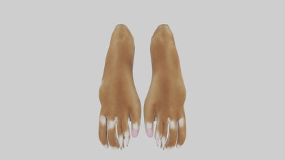 3D model Dog Paws VR / AR / low-poly