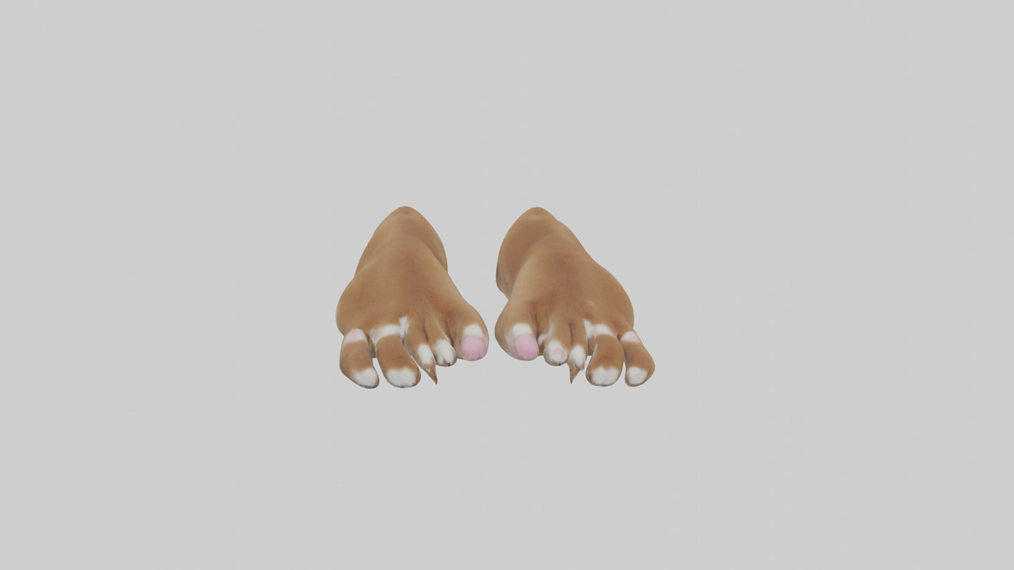 3D model Dog Paws VR / AR / low-poly