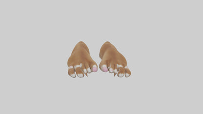 3D model Dog Paws VR / AR / low-poly
