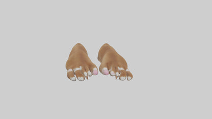 3D model Dog Paws VR / AR / low-poly