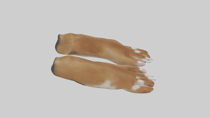 3D model Dog Paws VR / AR / low-poly