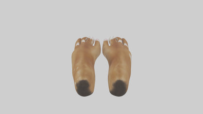 3D model Dog Paws VR / AR / low-poly