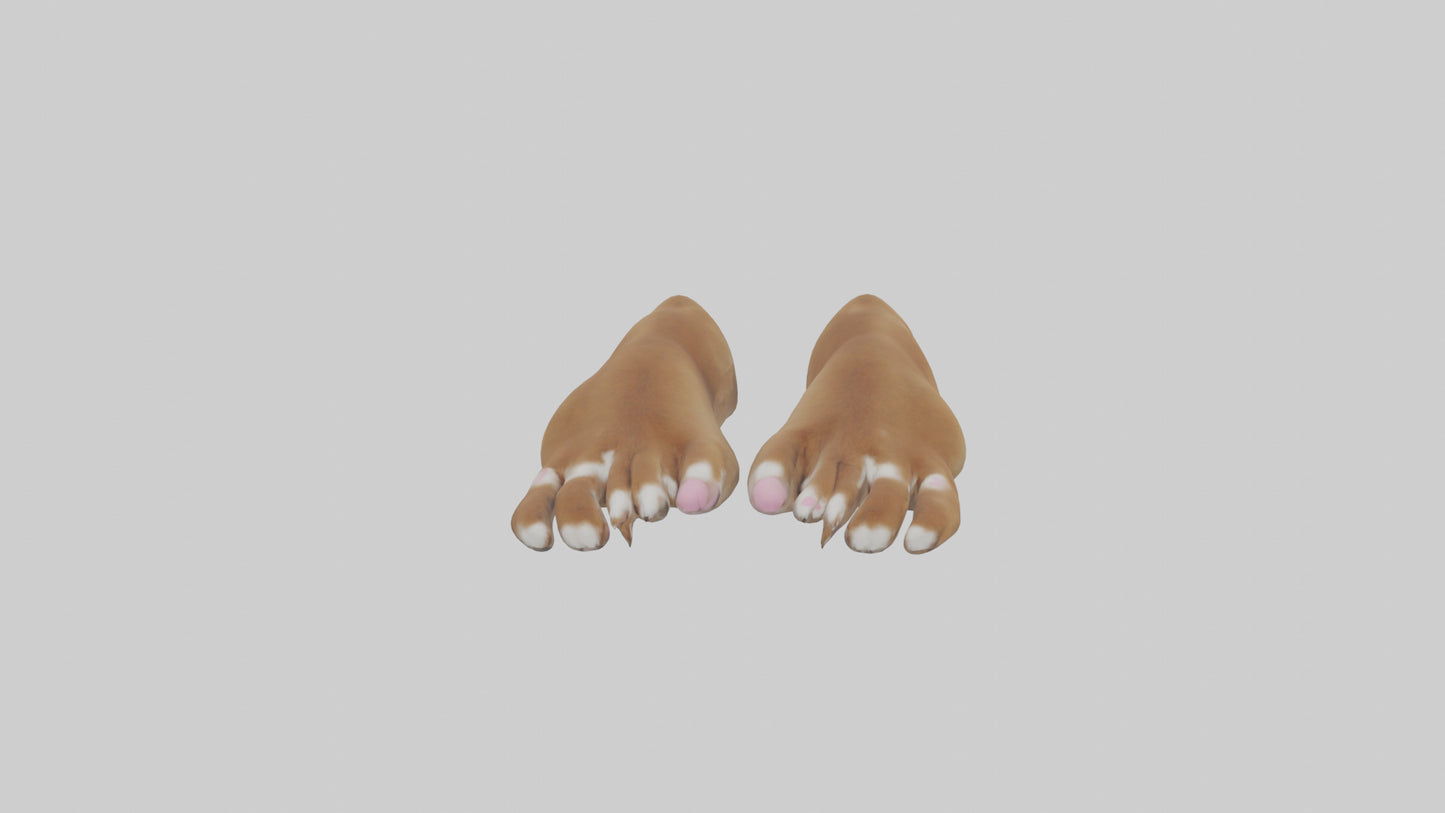 3D model Dog Paws VR / AR / low-poly