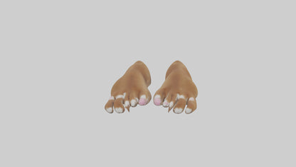 3D model Dog Paws VR / AR / low-poly