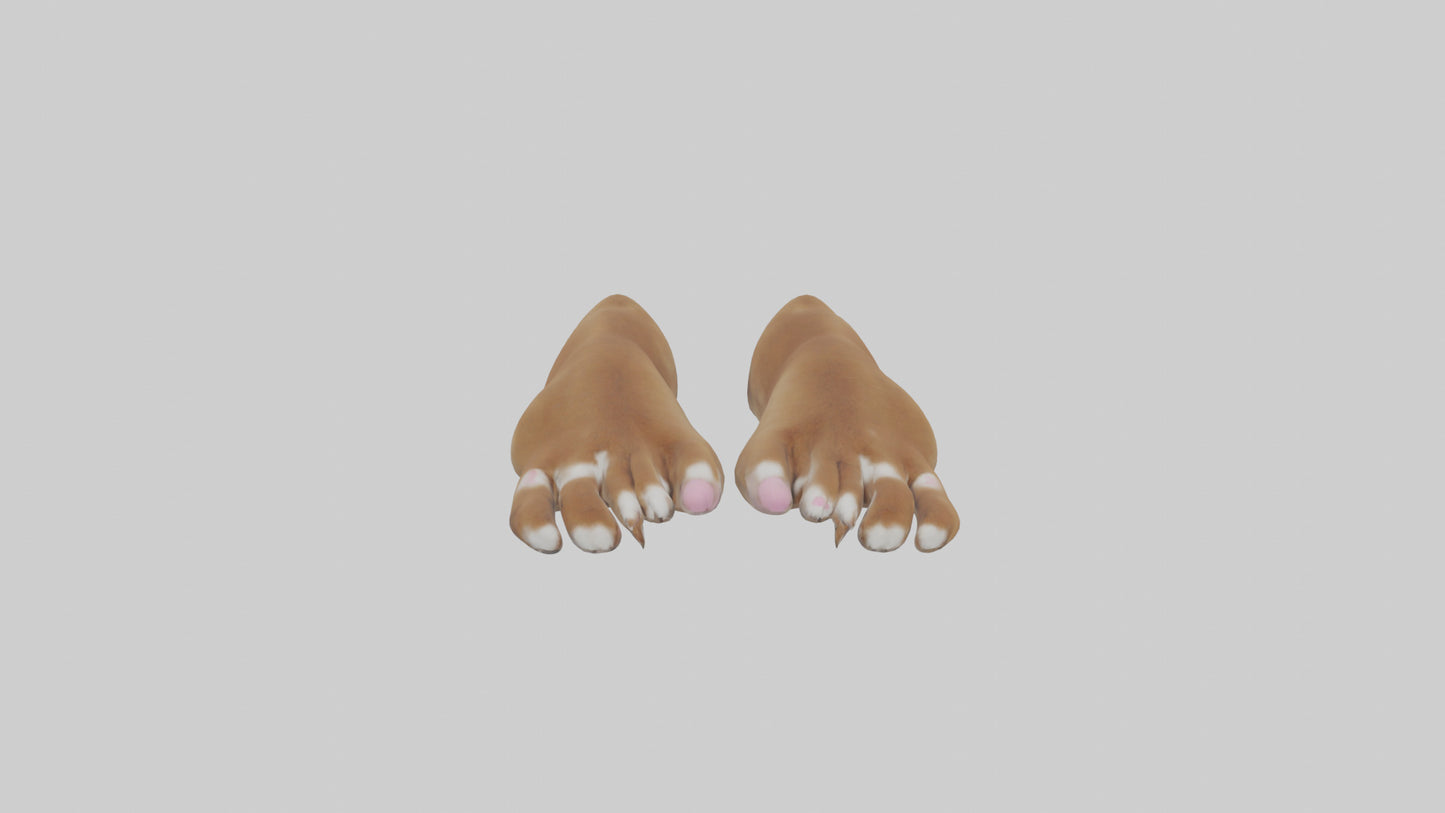 3D model Dog Paws VR / AR / low-poly