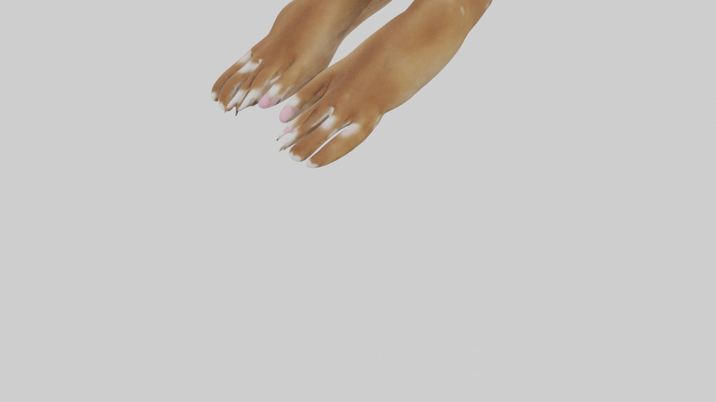 3D model Dog Paws VR / AR / low-poly