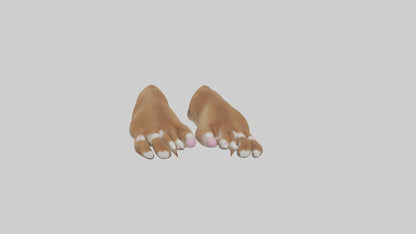 3D model Dog Paws VR / AR / low-poly