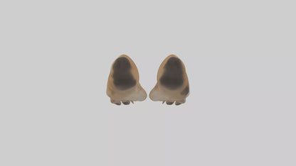3D model Dog Paws VR / AR / low-poly