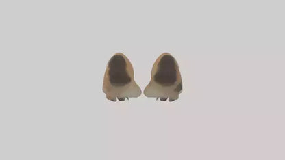 3D model Dog Paws VR / AR / low-poly