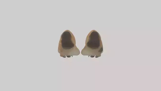 3D model Dog Paws VR / AR / low-poly