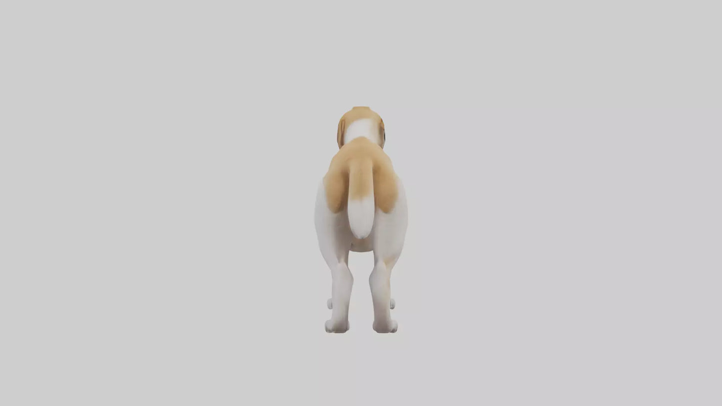 Dog Tail 3D model