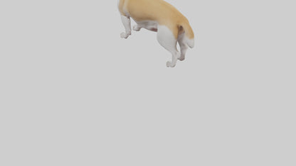 Dog Tail 3D model