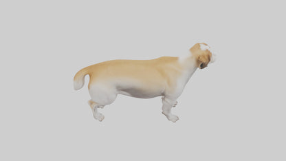 Dog Tail 3D model