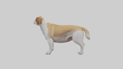 Dog Tail 3D model