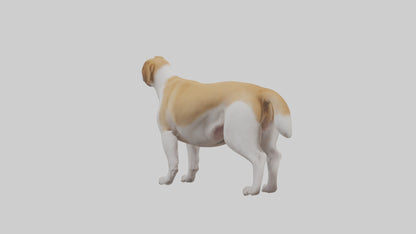 Dog Tail 3D model