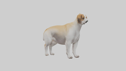 Dog Tail 3D model